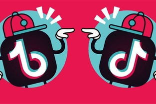 抖音搜索seo排名優化